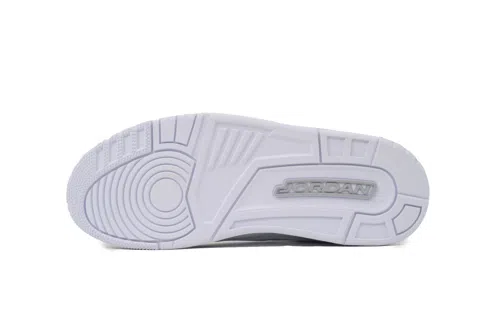 Air Jordan 3 Pure Money – photo 4