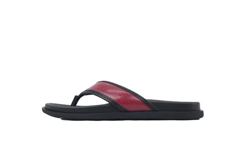 Black/Red