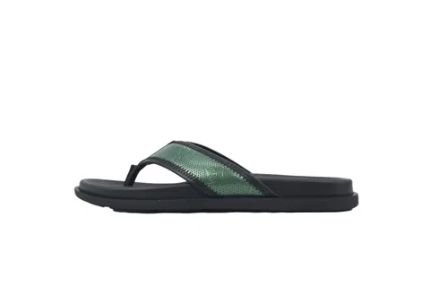 Black/Green