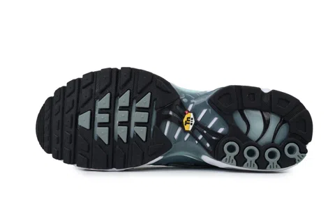 Nike Air Max Plus Palm Pack - Waterway – photo 4