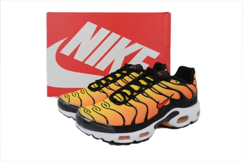 Nike Air Max Plus Sunset – photo 7