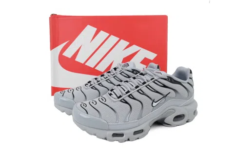Nike Air Max Plus Wolf Grey – photo 6