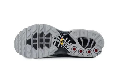 Nike Air Max Plus Wolf Grey – photo 4