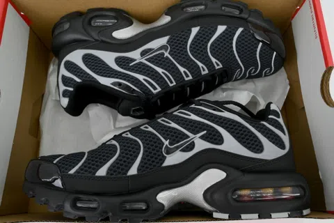 Nike Air Max Plus Black Metallic Silver – photo 8