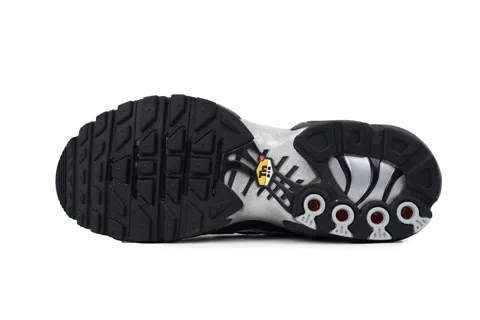 Nike Air Max Plus Black Metallic Silver – photo 4