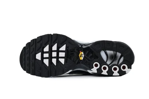 Nike Air Max Plus Black Metallic Silver – photo 4