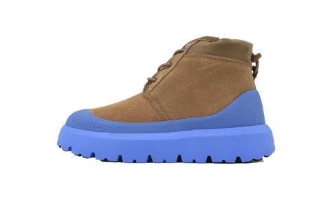 Brown/Blue