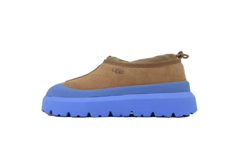 Brown/Blue
