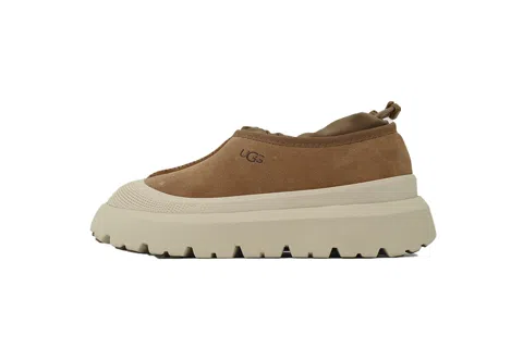 Brown/Beige