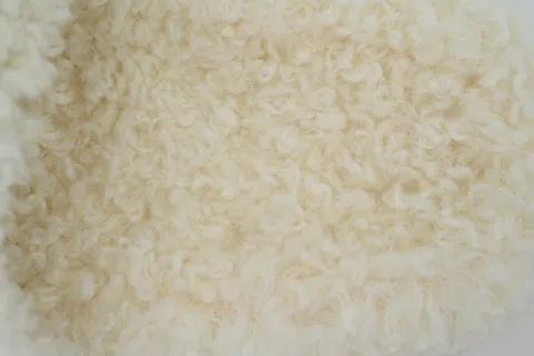 Balenciaga Furry Slide White – photo 6