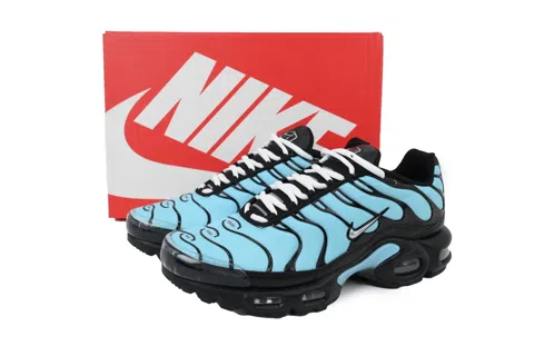 Nike Air Max Plus Aqua Silver – photo 6