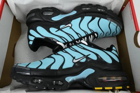 Nike Air Max Plus Aqua Silver – photo 8
