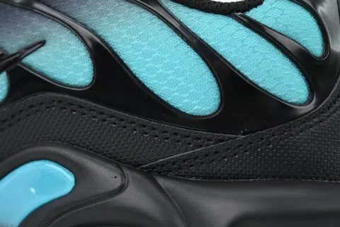 Nike Air Max Plus Black Dusty Cactus – photo 5