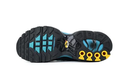 Nike Air Max Plus Black Dusty Cactus – photo 4