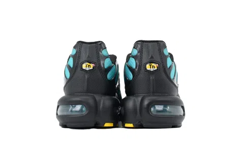 Nike Air Max Plus Black Dusty Cactus – photo 3