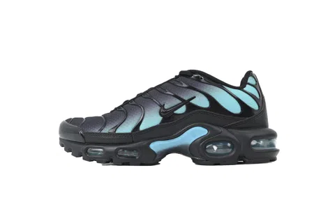 Black Dusty Cactus