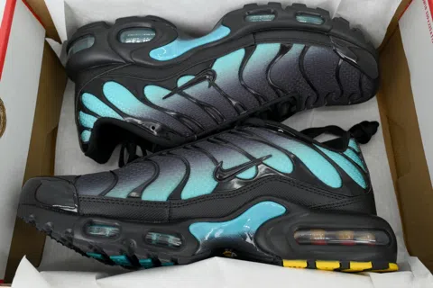 Nike Air Max Plus Black Dusty Cactus – photo 8