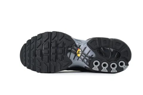 Nike Air Max Plus Black Particle Grey – photo 4