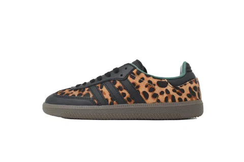 adidas Samba Cheetah Pack - Collegiate Green