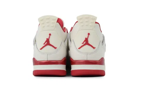 Air Jordan 4 s Day – photo 3