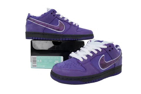 Concepts x Nike SB Dunk Low Purple Lobster – photo 7