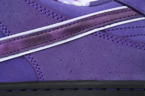 Concepts x Nike SB Dunk Low Purple Lobster – photo 5