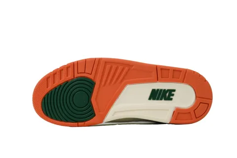 Air Jordan 3 Miami / Fruits of Our Labor – photo 4