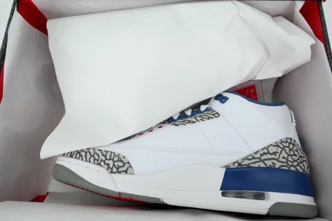 Air Jordan 3 True Blue – photo 8