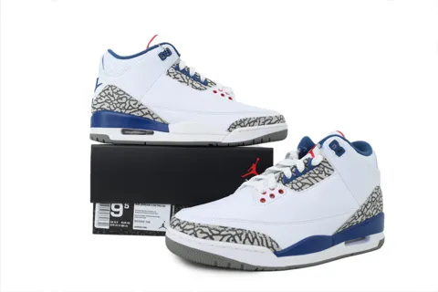 Air Jordan 3 True Blue – photo 7