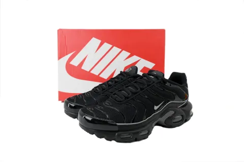 Nike Air Max Plus Black Reflective – photo 6