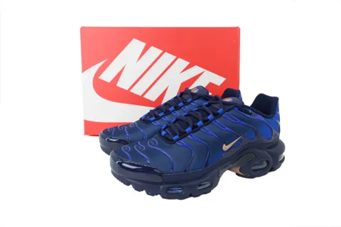 Nike Air Max Plus French Football Federation – photo 6