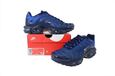 Nike Air Max Plus French Football Federation – photo 7
