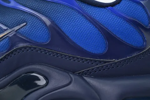 Nike Air Max Plus French Football Federation – photo 5