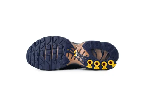Nike Air Max Plus French Football Federation – photo 4