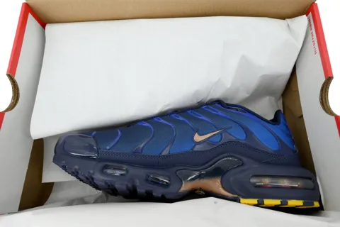 Nike Air Max Plus French Football Federation – photo 8