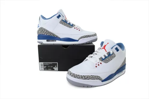 Air Jordan 3 True Blue – photo 7