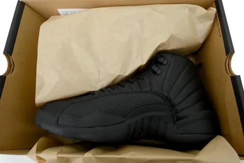 Air Jordan 12 Black Cat – photo 8