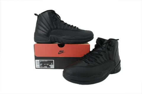 Air Jordan 12 Black Cat – photo 7