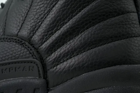 Air Jordan 12 Black Cat – photo 5