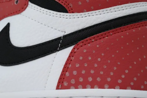 Air Jordan 1 High Origin Story – photo 5