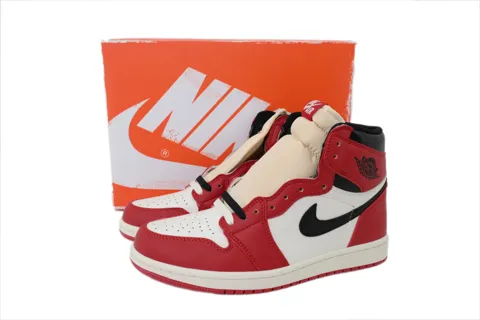Air Jordan 1 High Chicago Lost & Found – photo 6